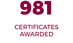 981 CERTIFICATES AWARDED