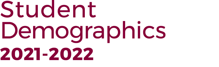 Student Demographics 2021 2022 