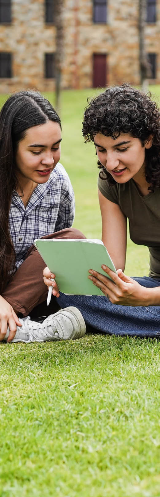 Young friends studying together outdoor sitting in university campus park - Focus on left girls faces